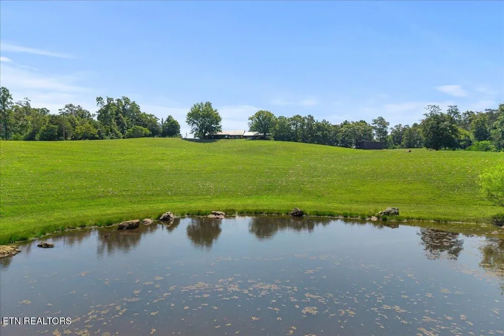 910 Reagan Valley Road Tellico Plains, TN 37385