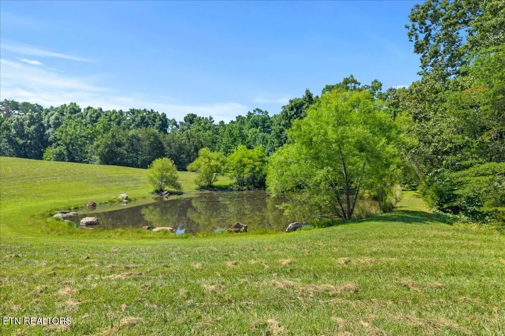 910 Reagan Valley Road Tellico Plains, TN 37385