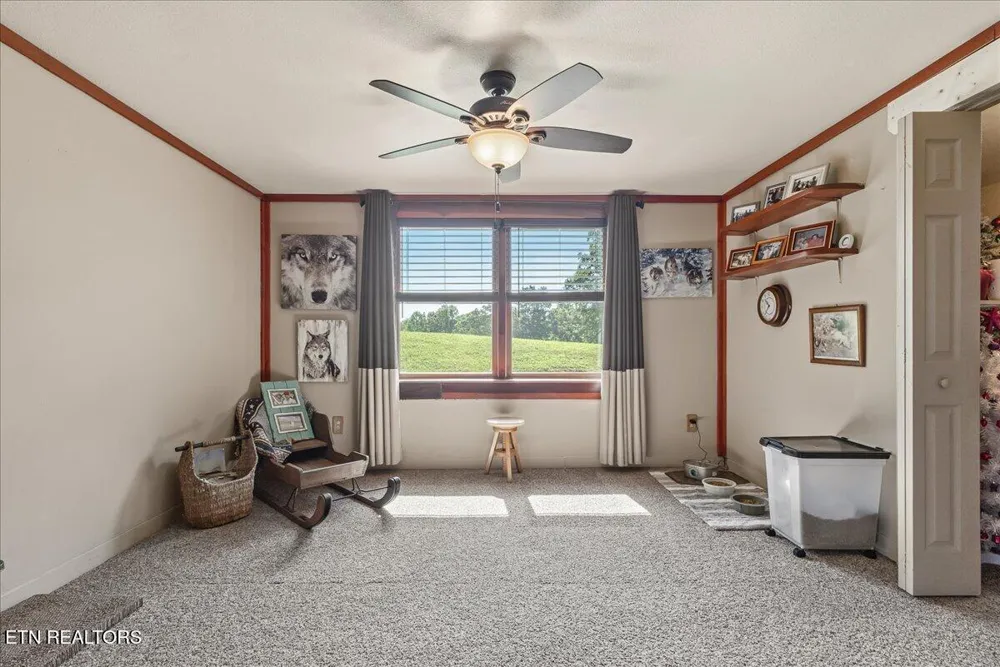 910 Reagan Valley Road Tellico Plains, TN 37385