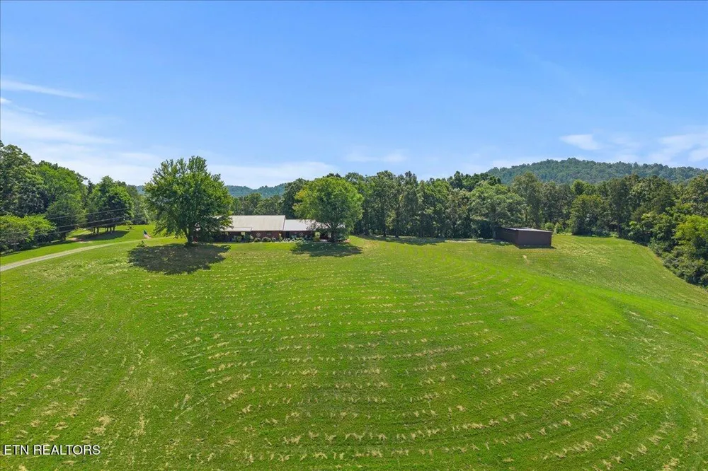 910 Reagan Valley Road Tellico Plains, TN 37385
