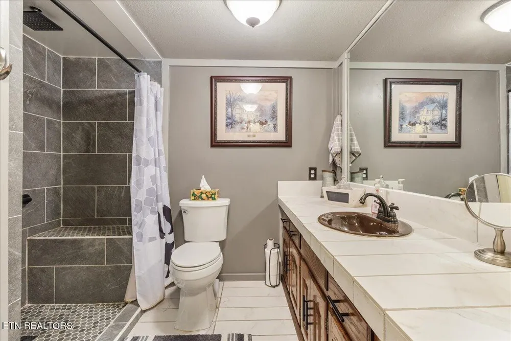 910 Reagan Valley Road Tellico Plains, TN 37385