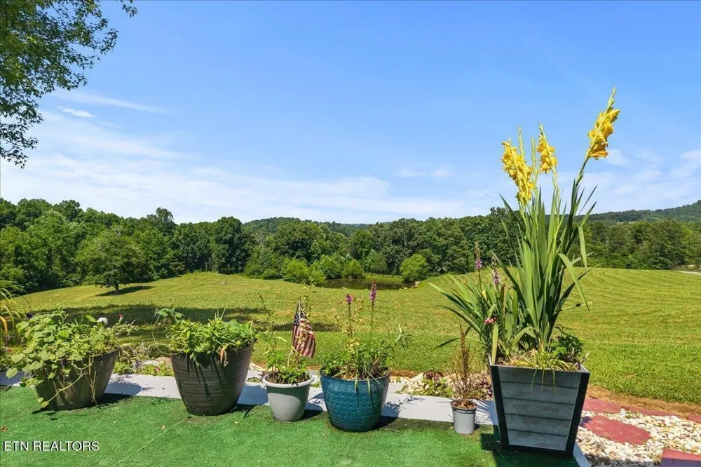 910 Reagan Valley Road Tellico Plains, TN 37385