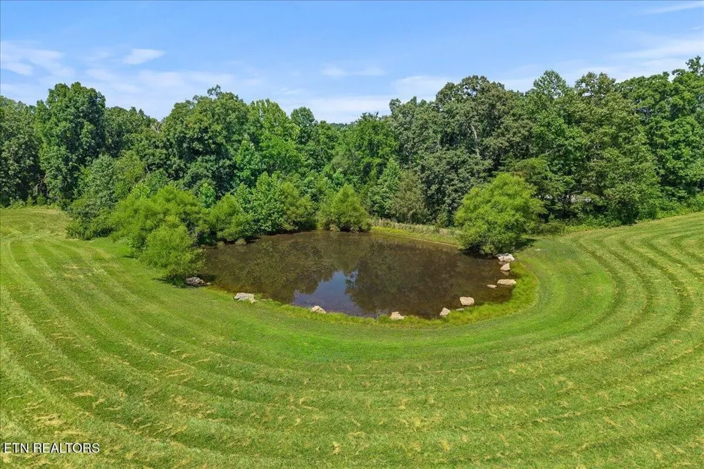 910 Reagan Valley Road Tellico Plains, TN 37385