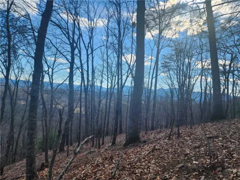 0 Trackrock Gap Road