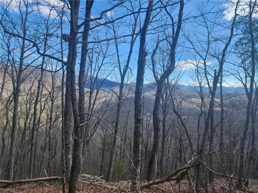 0 Trackrock Gap Road Blairsville, GA 30514