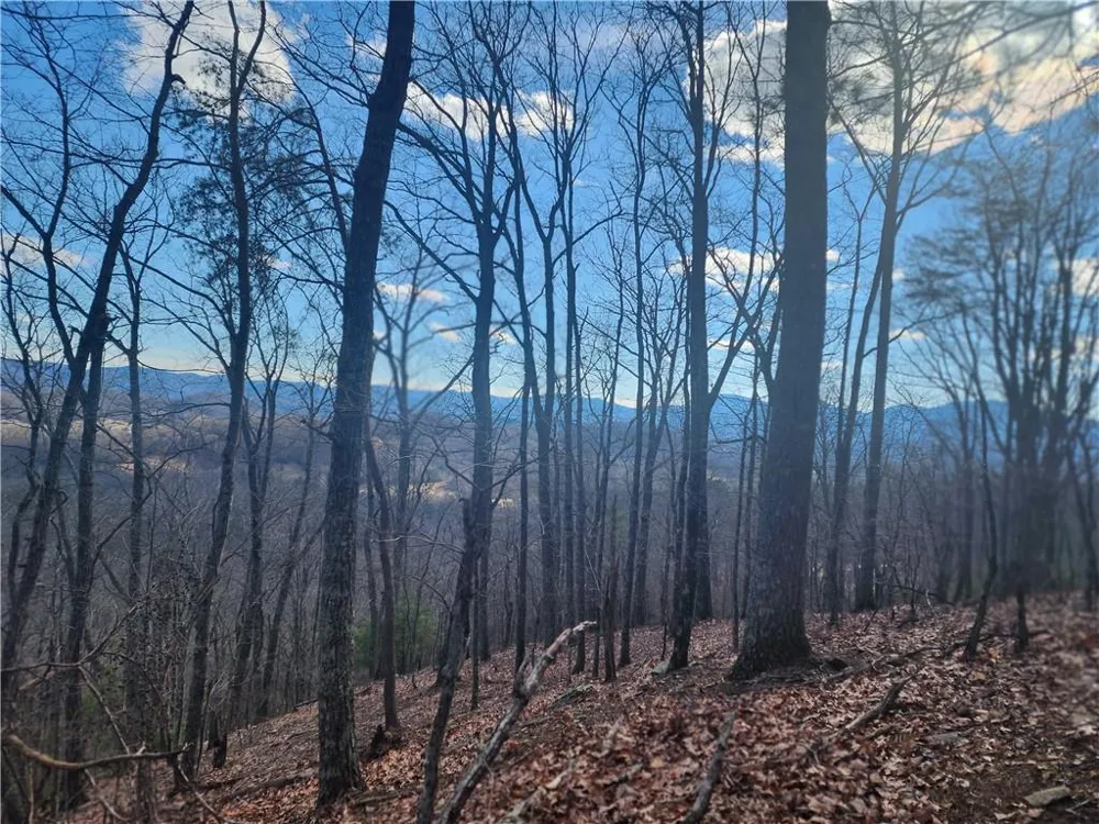 0 Trackrock Gap Road Blairsville, GA 30514