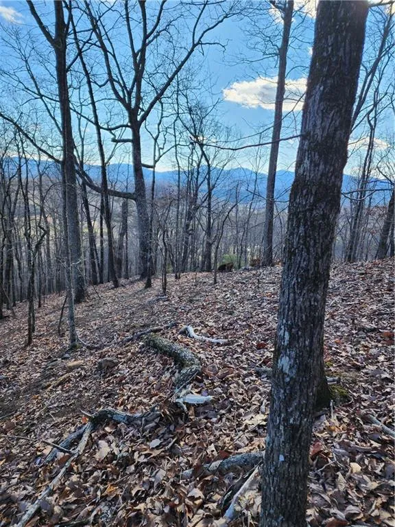 0 Trackrock Gap Road Blairsville, GA 30514