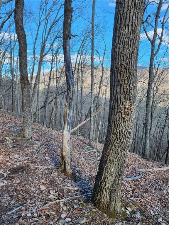 0 Trackrock Gap Road Blairsville, GA 30514