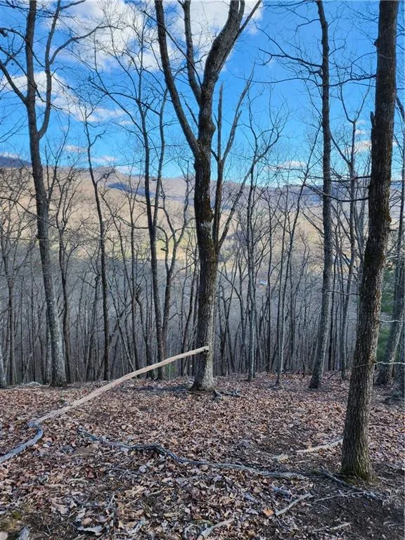 0 Trackrock Gap Road Blairsville, GA 30514