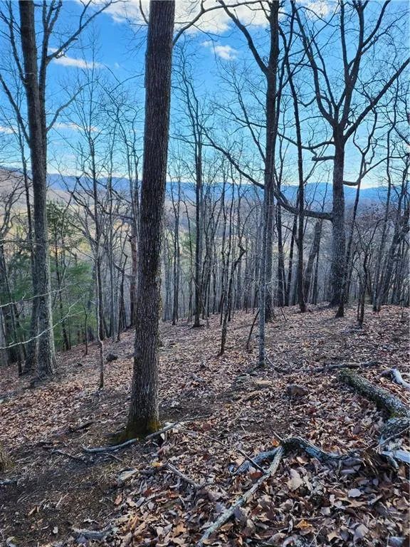 0 Trackrock Gap Road Blairsville, GA 30514