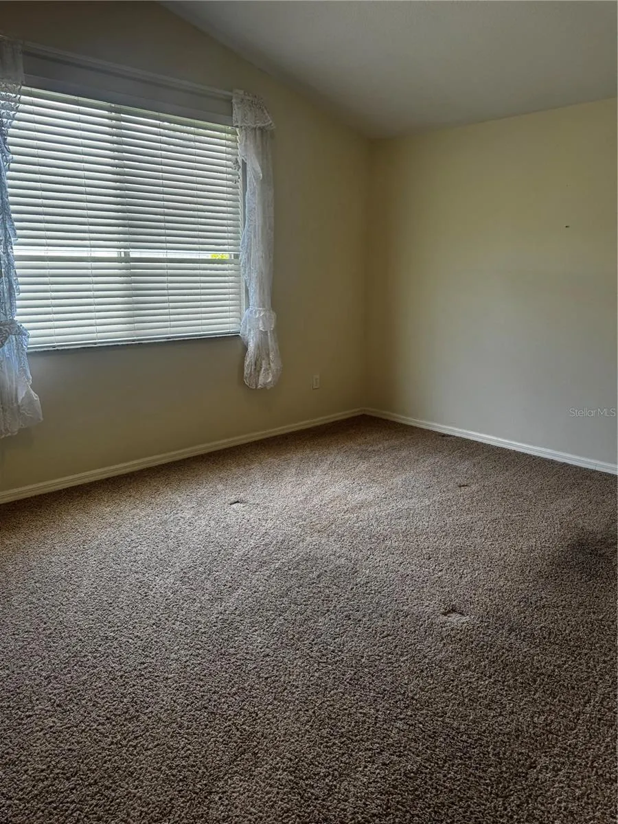 8806 CYPRESS HAMMOCK DRIVE Tampa, FL 33614