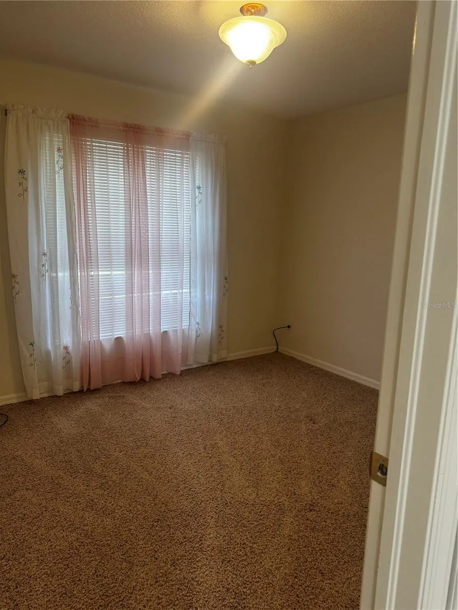 8806 CYPRESS HAMMOCK DRIVE Tampa, FL 33614