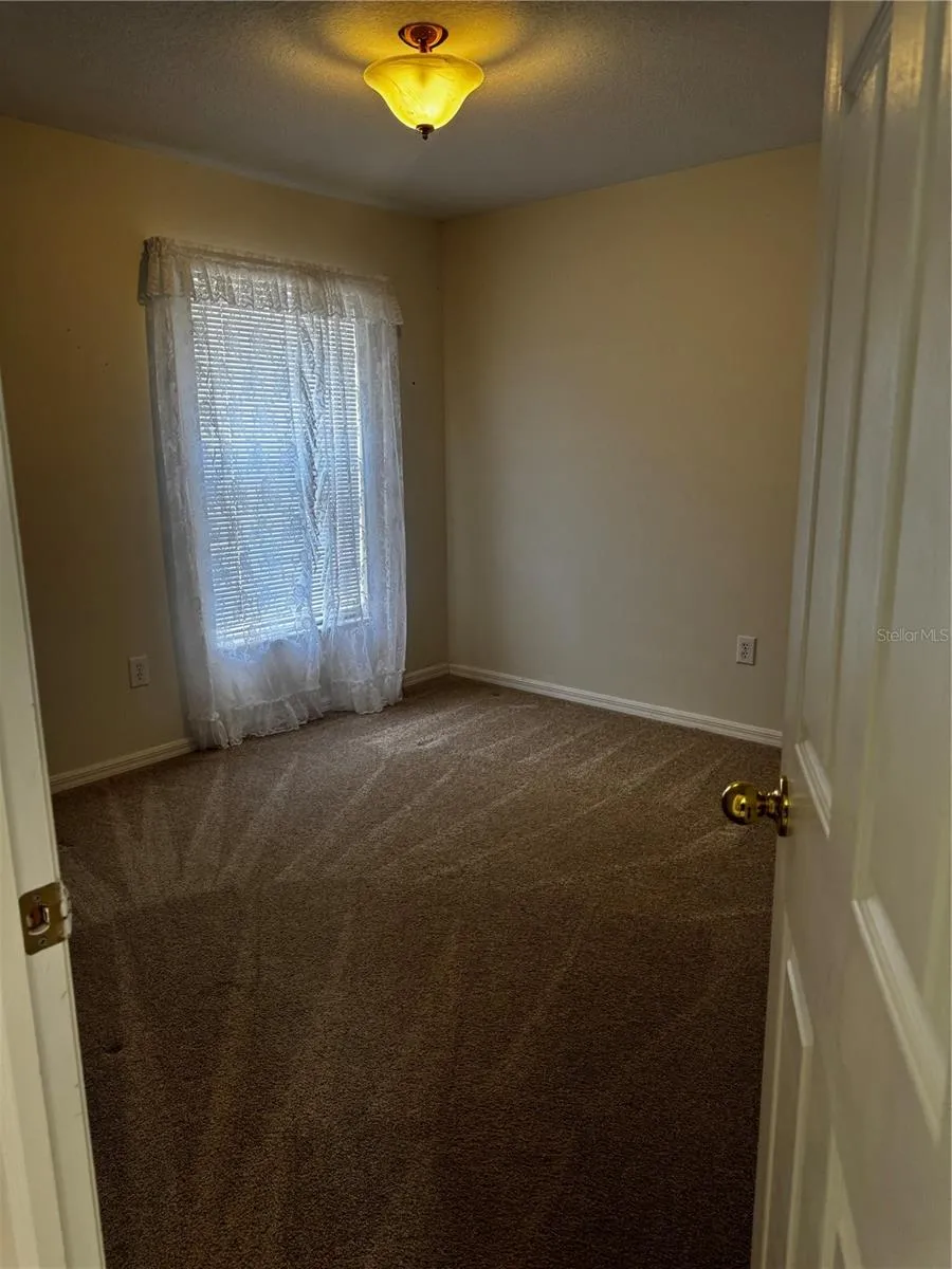 8806 CYPRESS HAMMOCK DRIVE Tampa, FL 33614