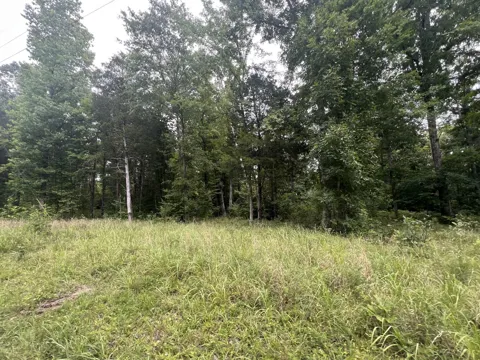 7 Toms Creek Lake Rd