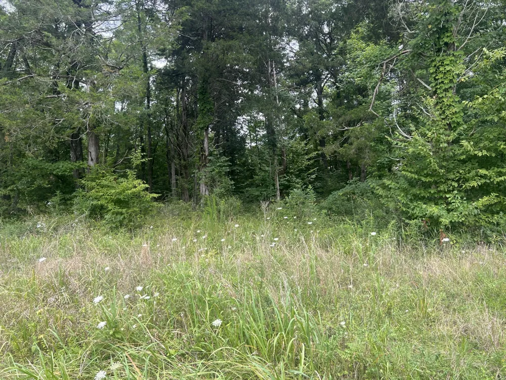 7 Toms Creek Lake Rd Linden, TN 37096