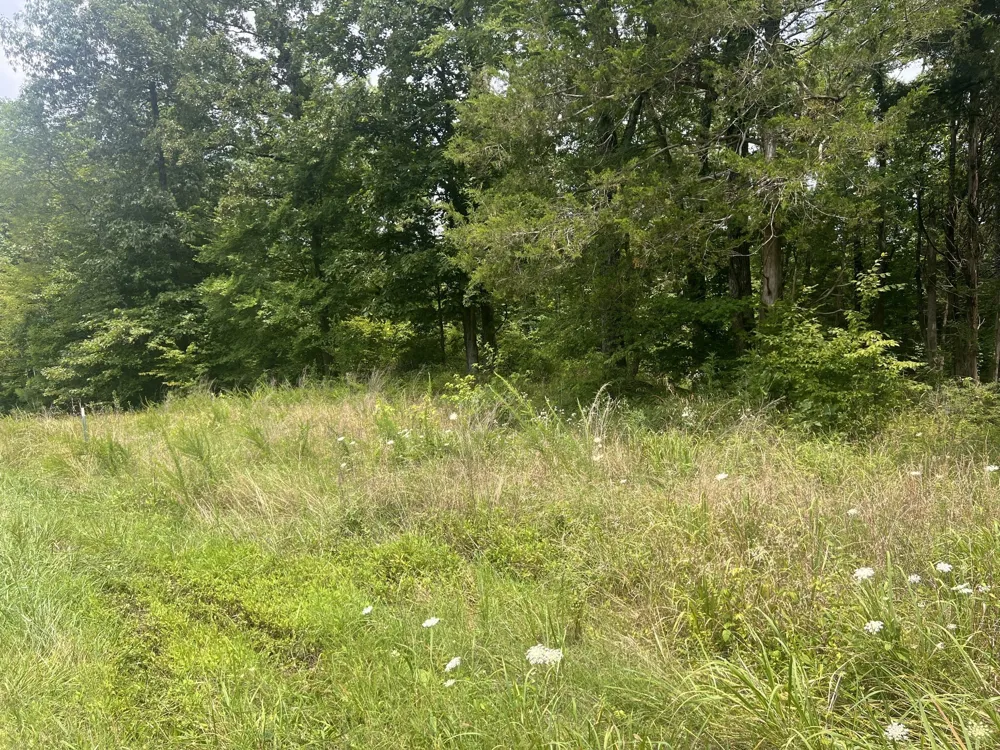 7 Toms Creek Lake Rd Linden, TN 37096