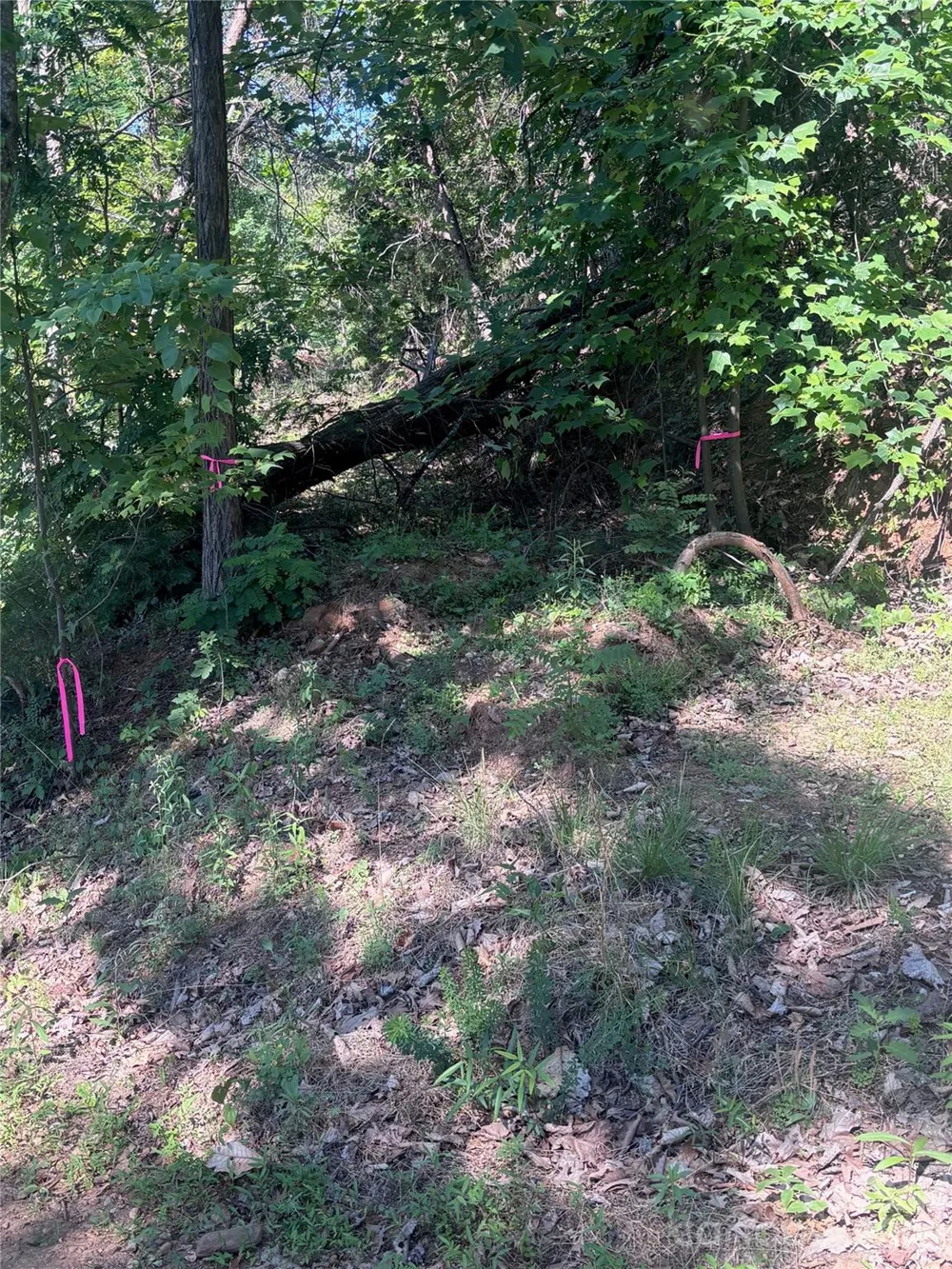 137 Napa Drive Rutherfordton, NC 28139