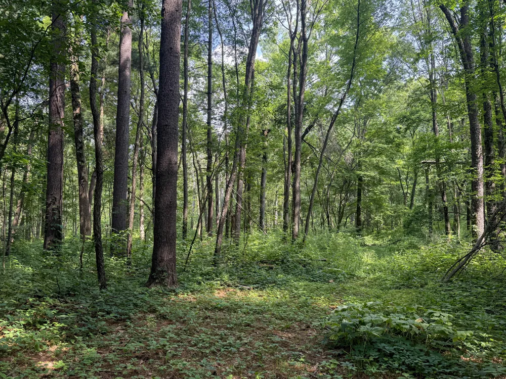 Whitetail Ridge #29 Dowagiac, MI 49047