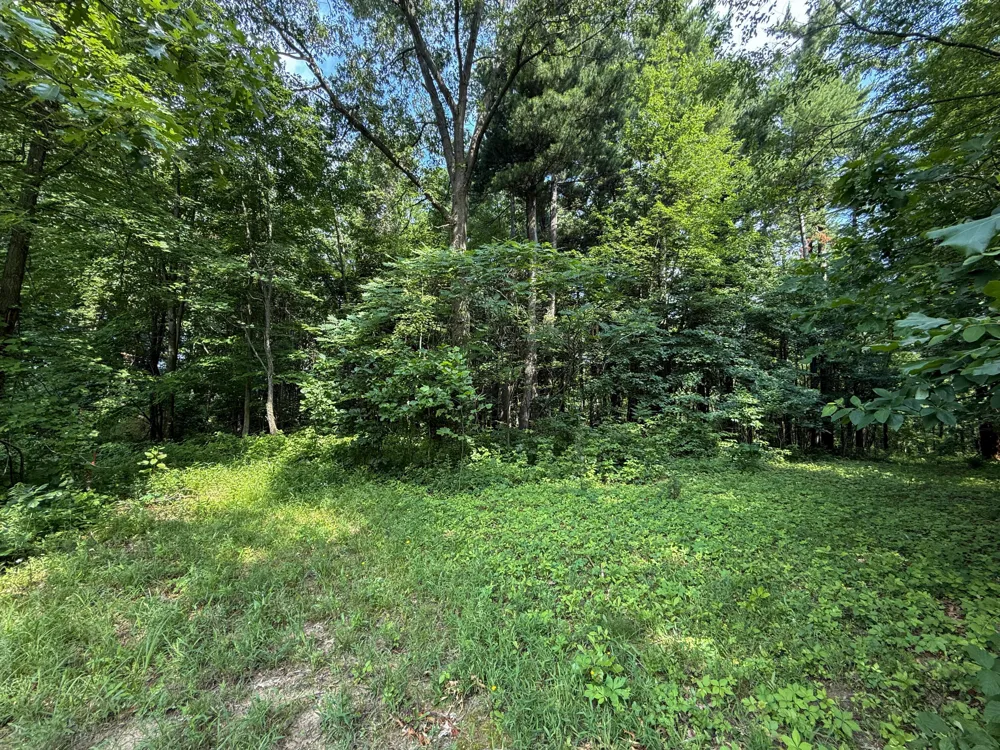 Whitetail Ridge #29 Dowagiac, MI 49047