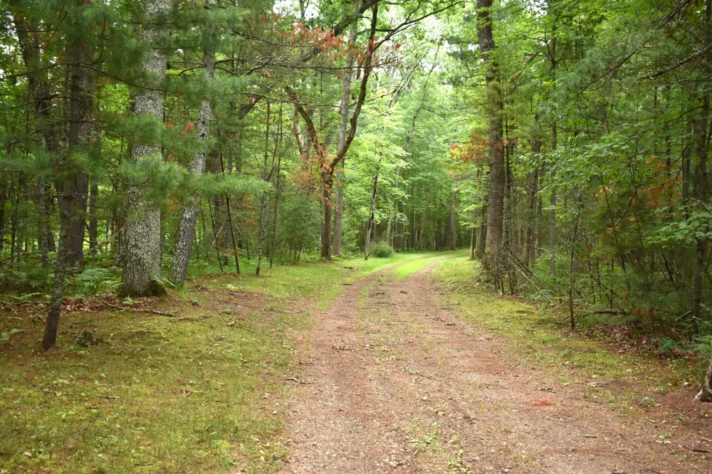 2194 W Jab Drive Baldwin, MI 49304