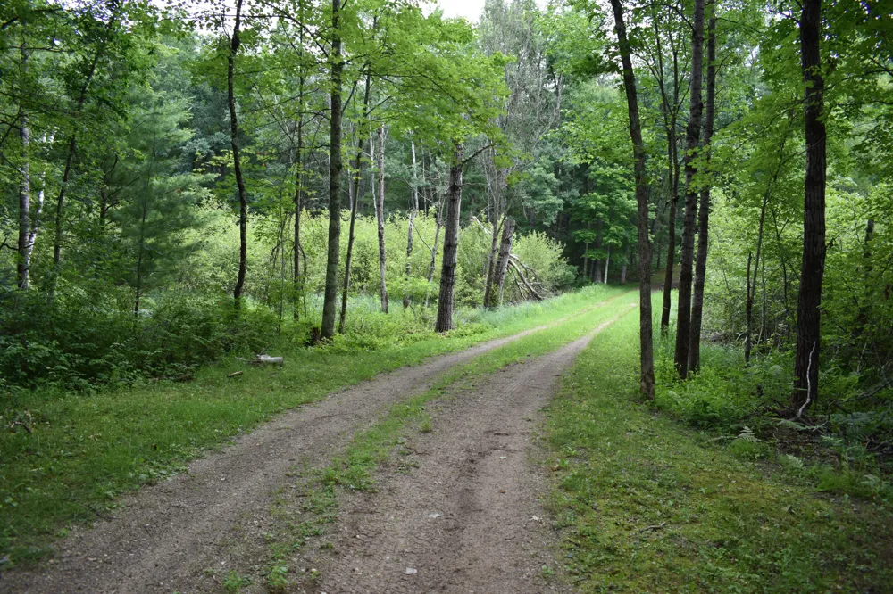 2194 W Jab Drive Baldwin, MI 49304