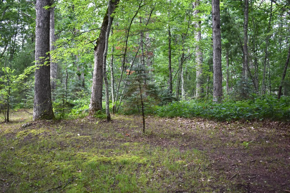2194 W Jab Drive Baldwin, MI 49304