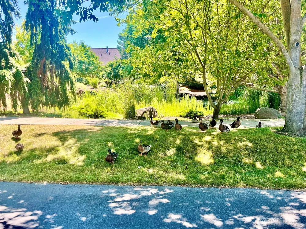 875 SE Creekside Drive College Place, WA 99324
