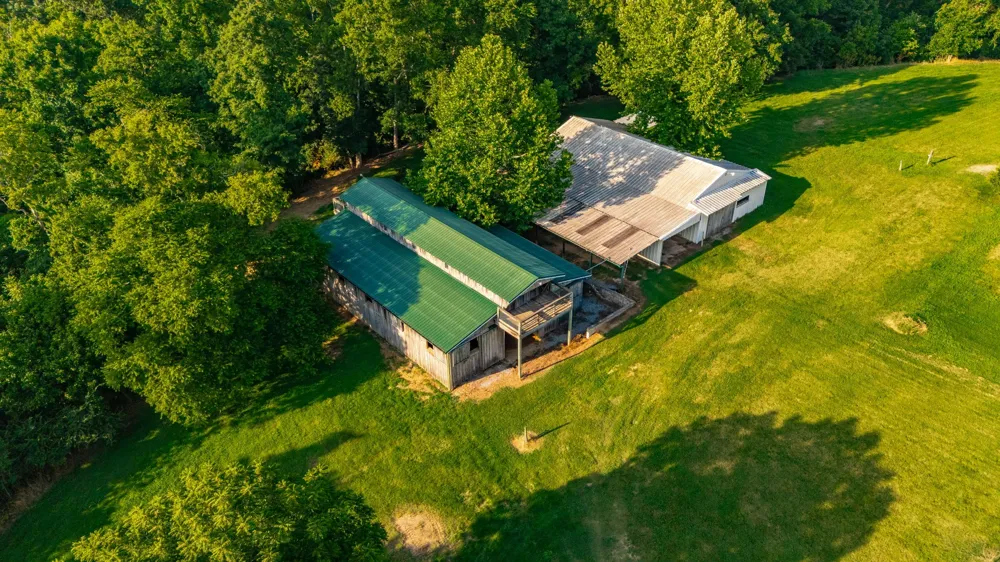 825 Harsh Ln Castalian Springs, TN 37031