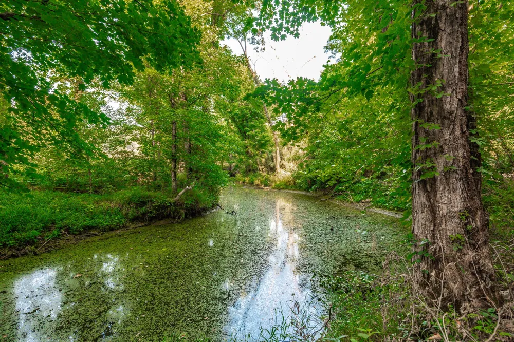 825 Harsh Ln Castalian Springs, TN 37031
