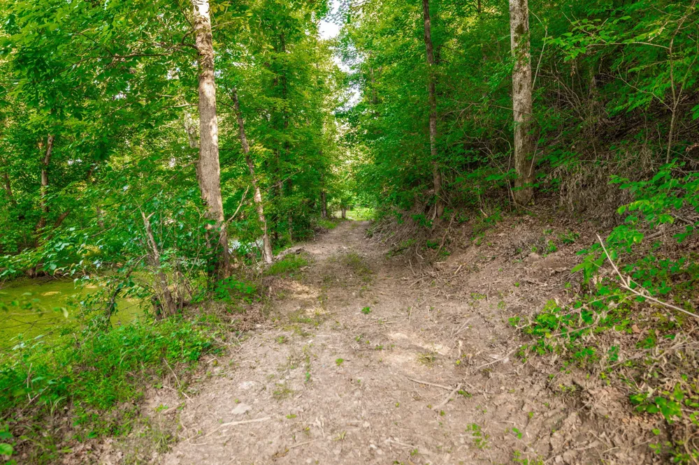 825 Harsh Ln Castalian Springs, TN 37031