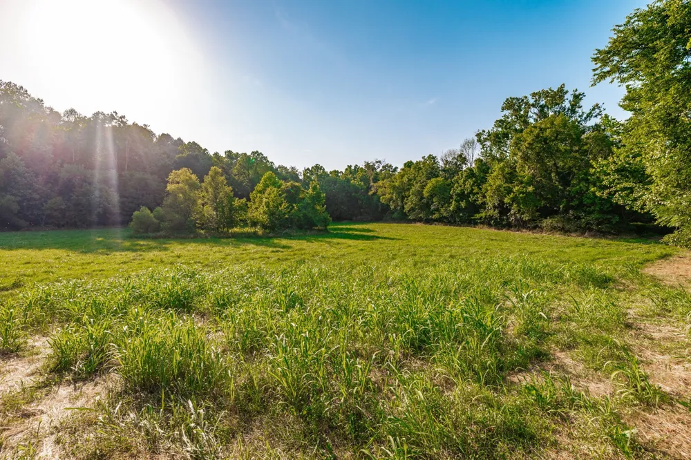 825 Harsh Ln Castalian Springs, TN 37031
