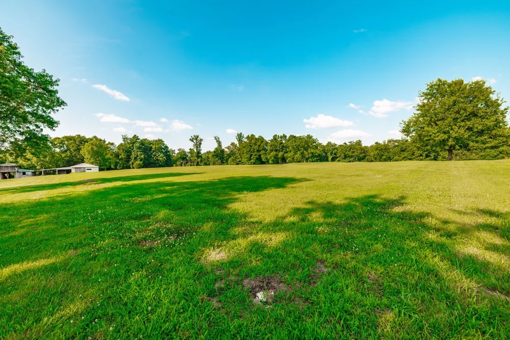 825 Harsh Ln Castalian Springs, TN 37031