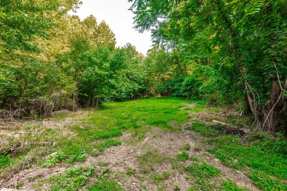 825 Harsh Ln Castalian Springs, TN 37031