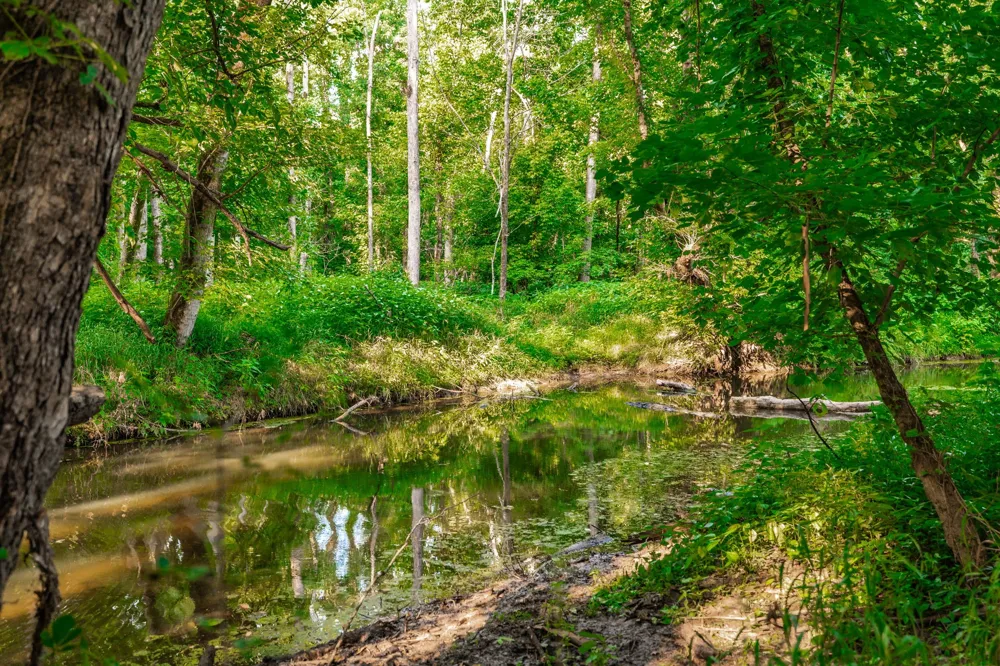 825 Harsh Ln Castalian Springs, TN 37031