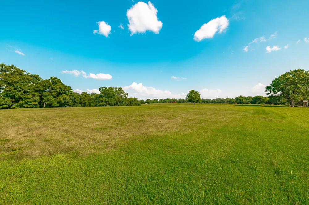 825 Harsh Ln Castalian Springs, TN 37031