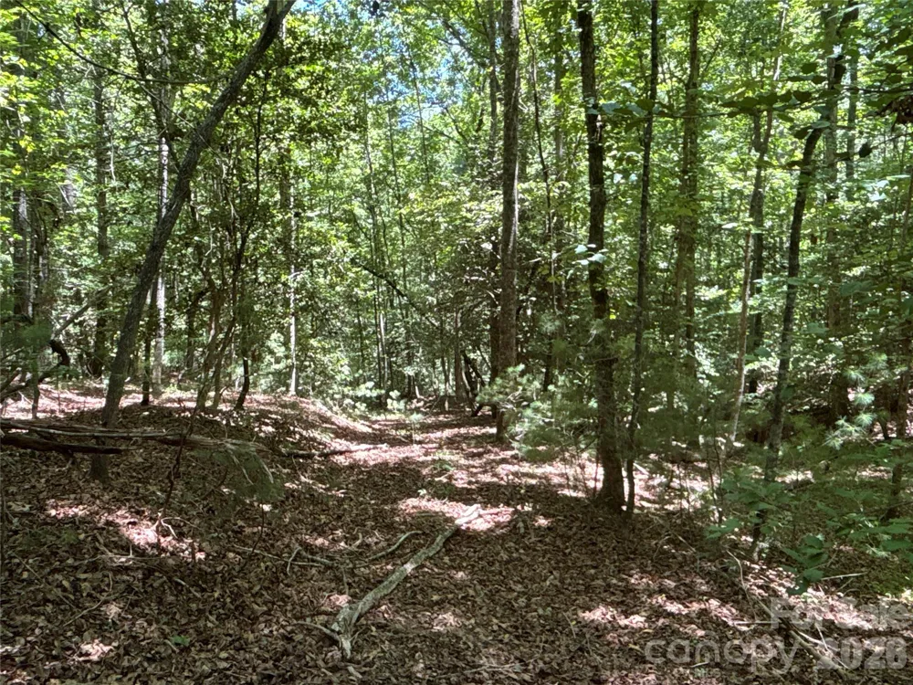 2006 Piedmont Road Morganton, NC 28655
