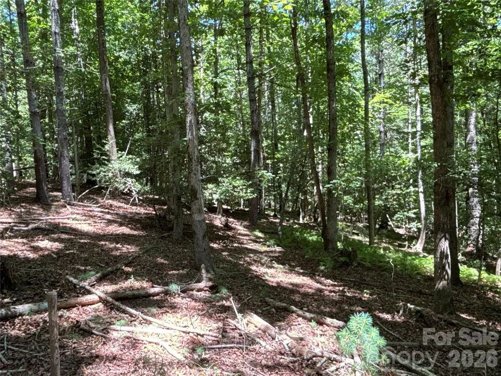2006 Piedmont Road Morganton, NC 28655