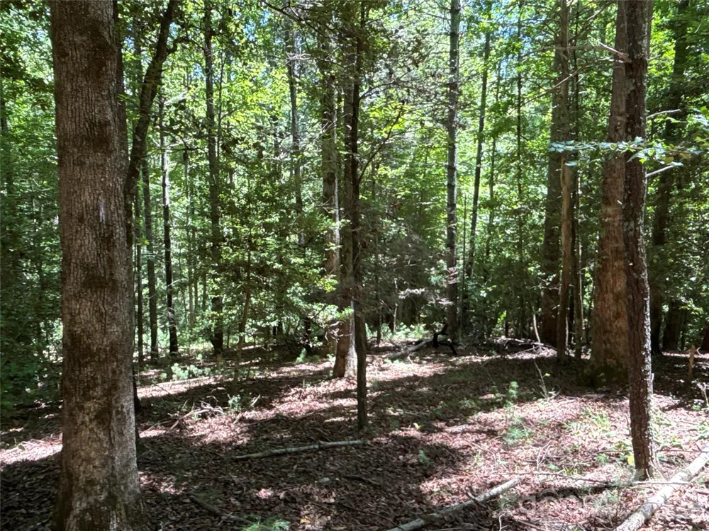 2006 Piedmont Road Morganton, NC 28655