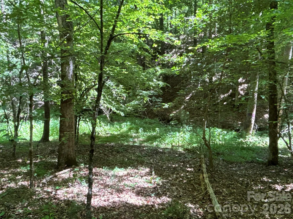 2006 Piedmont Road Morganton, NC 28655