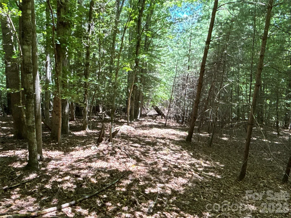 2006 Piedmont Road Morganton, NC 28655