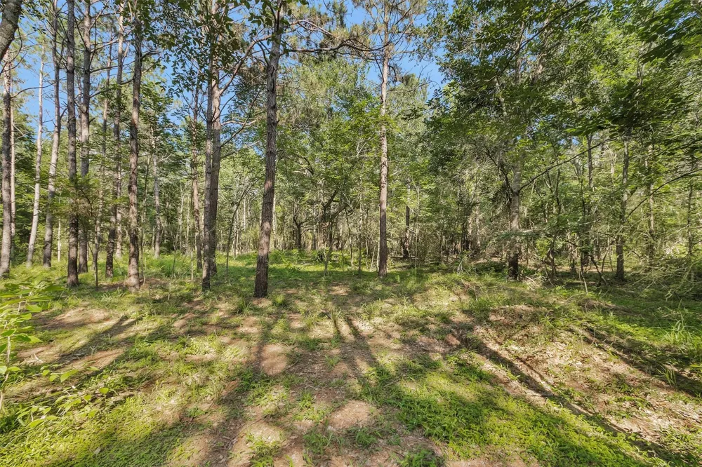 6493 Planters Row Lane Plantersville, TX 77363
