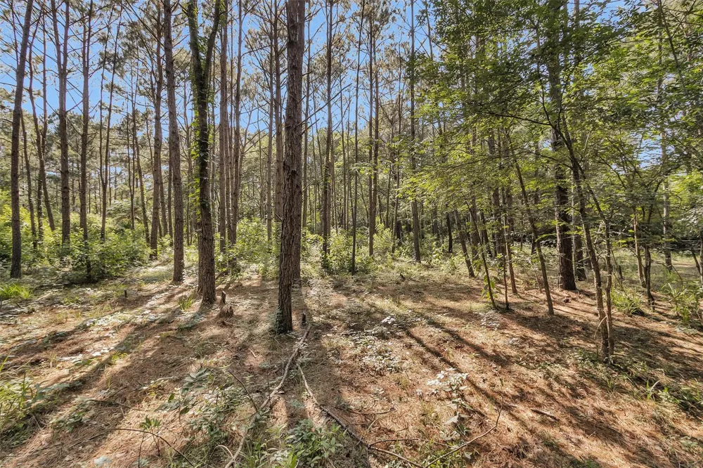 6493 Planters Row Lane Plantersville, TX 77363