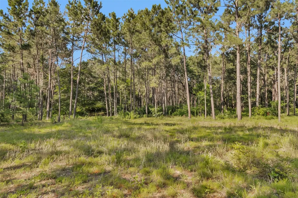 6493 Planters Row Lane Plantersville, TX 77363