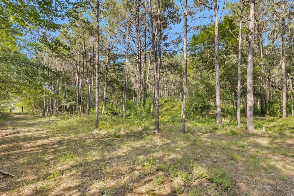 6493 Planters Row Lane Plantersville, TX 77363