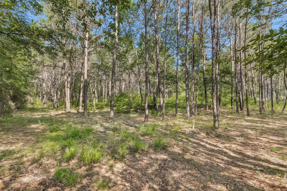 6493 Planters Row Lane Plantersville, TX 77363