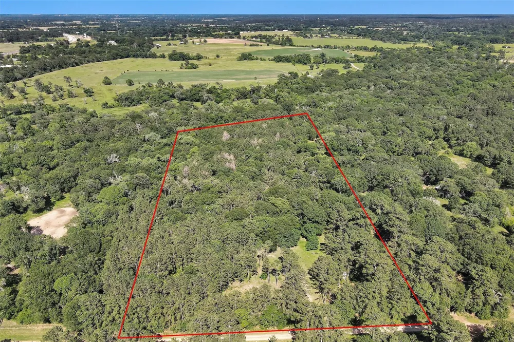 6493 Planters Row Lane Plantersville, TX 77363