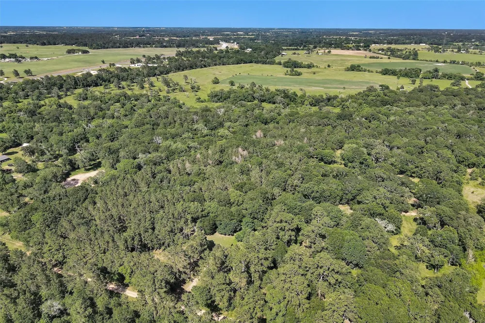 6493 Planters Row Lane Plantersville, TX 77363