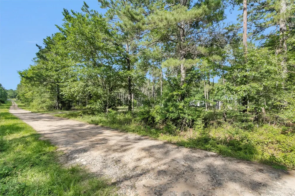 6493 Planters Row Lane Plantersville, TX 77363