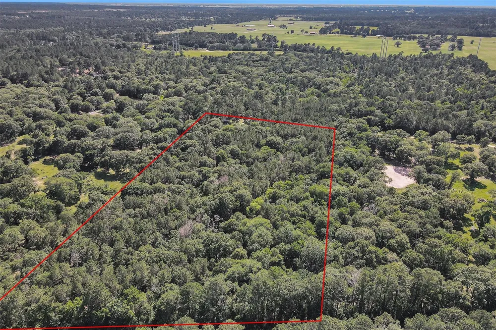 6493 Planters Row Lane Plantersville, TX 77363