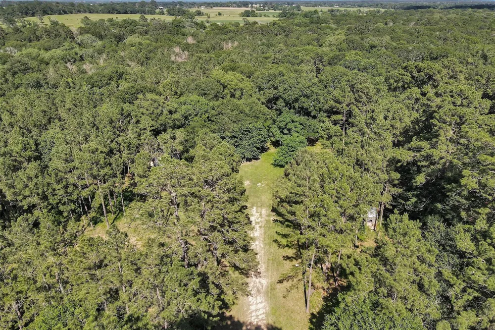 6493 Planters Row Lane Plantersville, TX 77363
